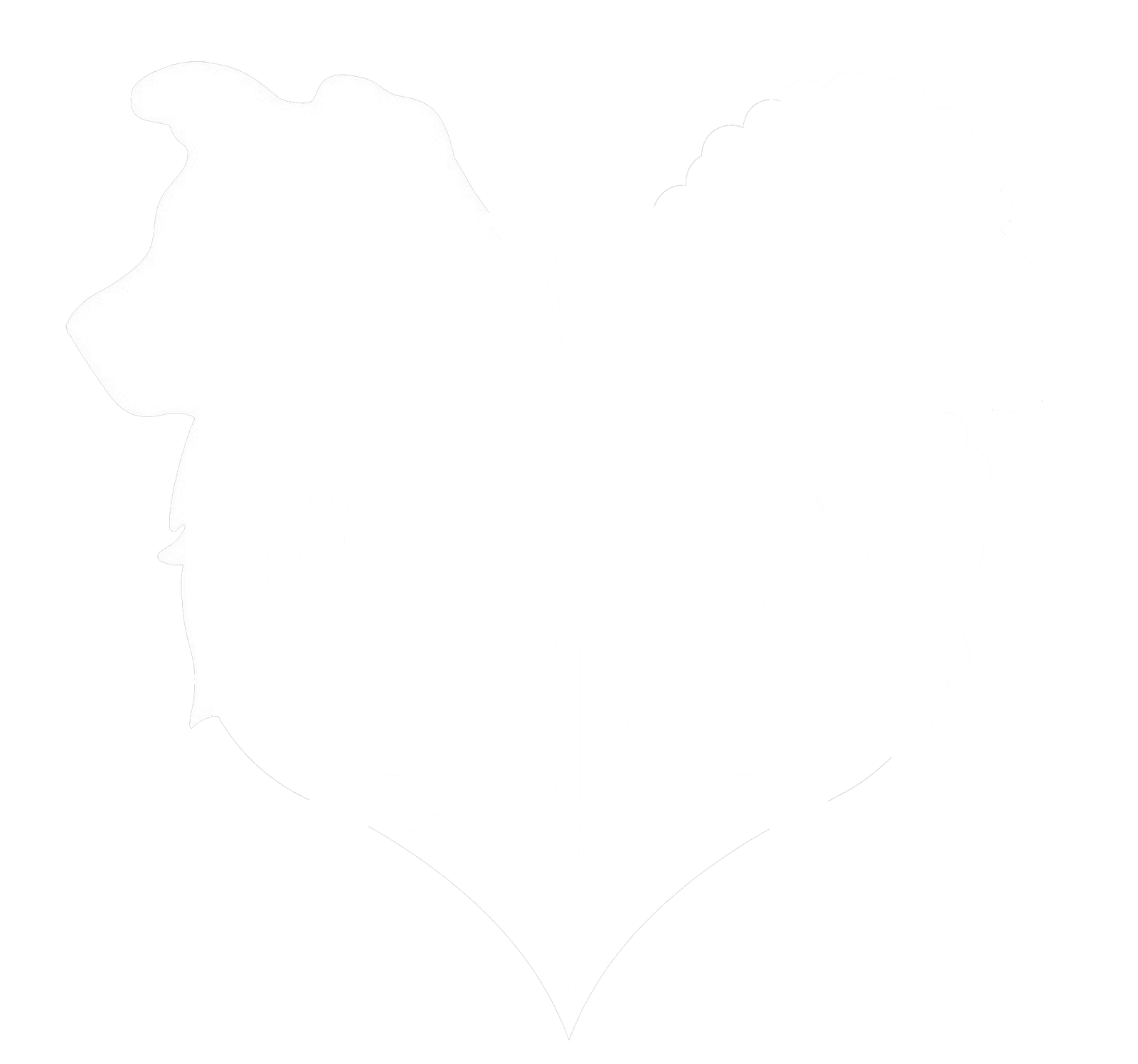 Aleannan logo